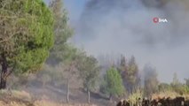 Aydın'da orman yangınına havadan ve karadan müdahale ediliyor