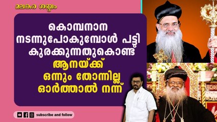 മലങ്കര ഓർത്തോഡോക്സ് കാതോലിക്കാ ബാവയോട് ചില യൂട്യൂബർമാർക്ക് വല്ലാത്ത പ്രേമം