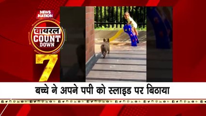 Download Video: Viral Videos : देखिए सोशल मीडिया पर वायरल वीडियो का Countdown | Top 10 viral video |