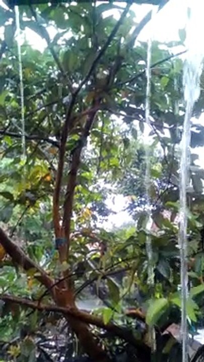rain