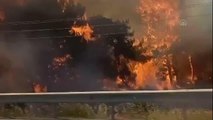Son dakika haber | Kısıkköy'de ormanlık alanda yangın çıktı