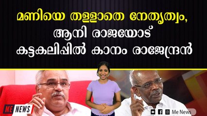 ആനി രാജയെ സിപിഐ വീണ്ടും കൈവിട്ടു