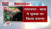 Uttarakhand News : Ramnagar में युवक पर बाघ ने किया हमला | Ramnagar News |