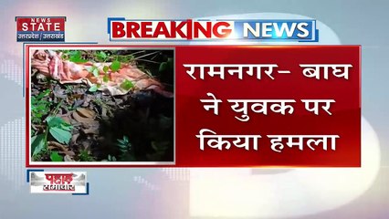 Uttarakhand News : Ramnagar में युवक पर बाघ ने किया हमला | Ramnagar News |