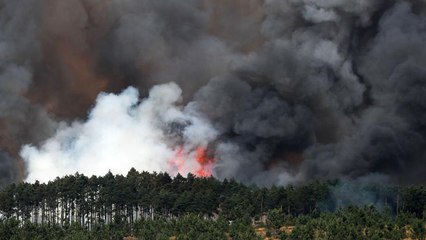 İspanya’daki orman yangınında 2 bin hektarlık alan küle döndü