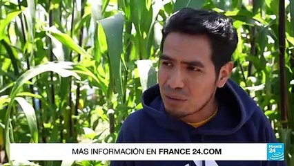 Guatemala: despiden a niño de 13 años que murió asfixiado en camión abandonado en Texas