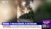 Incendies en Gironde: 11.400 hectares ravagés par les flammes et 16.200 personnes évacuées