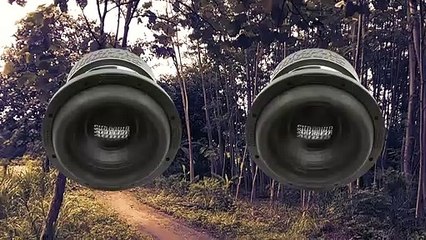 DJ WALAKABOOM - SUBWOOFER BASS TEST HIGHT LEVEL