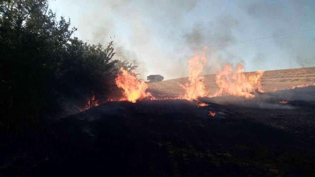 Elektrik tellerinden sıçrayan kıvılcım 100 dönüm anızı küle çevirdi