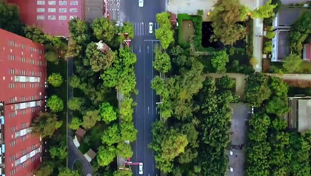 I hope those of you remember, do not miss it! I listened to this summer singing and playing contest