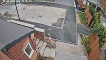 Cute cockapoo's lukcy escape after 15 ft plunge from Doncaster window