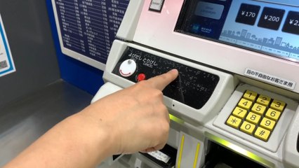 Un transporte más accesible, el principal legado de los Paralímpicos de Tokio