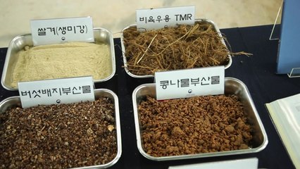 [녹색] 버리던 농식품 부산물이 효자...한우농가 소득 2배↑ / YTN