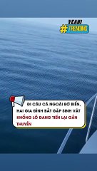 Câu cá ngoài bờ biển bắt gặp Cá Mập siêu to khổng lồ đang tiến lại gần thuyền