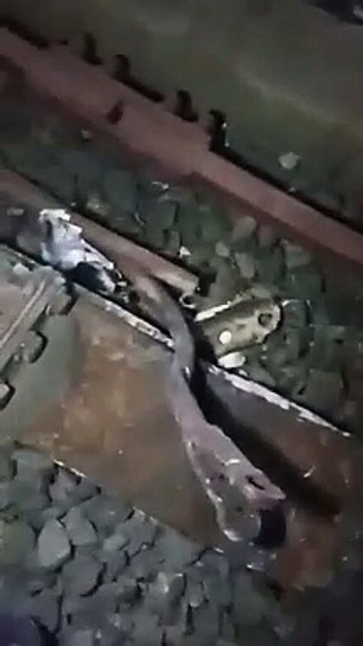 ratlam train accident