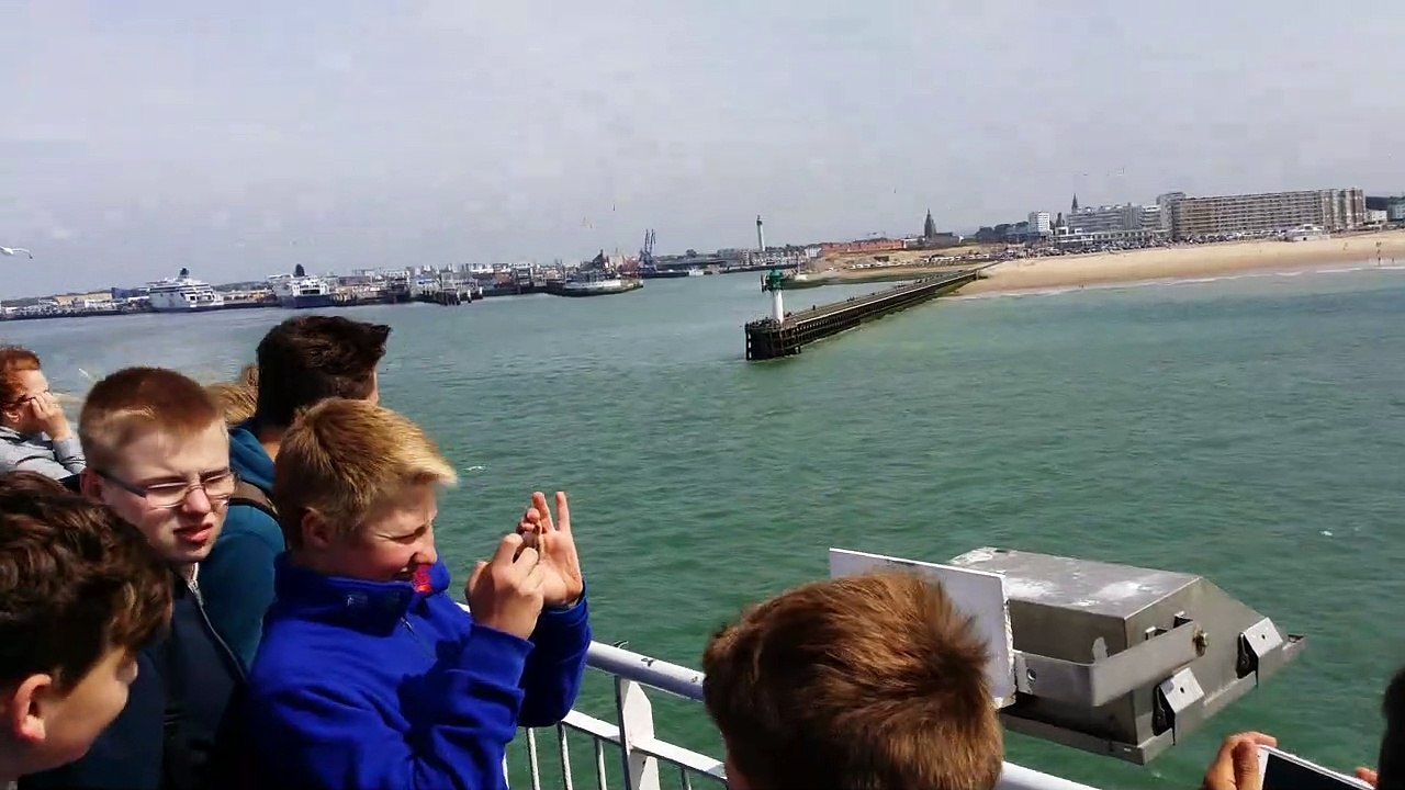 Vögel gleiten neben einer Fähre