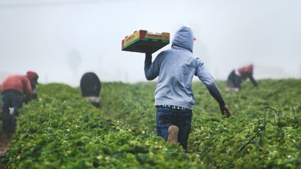 “Tenemos los instrumentos para hacer la reforma”: nueva ministra de Agricultura