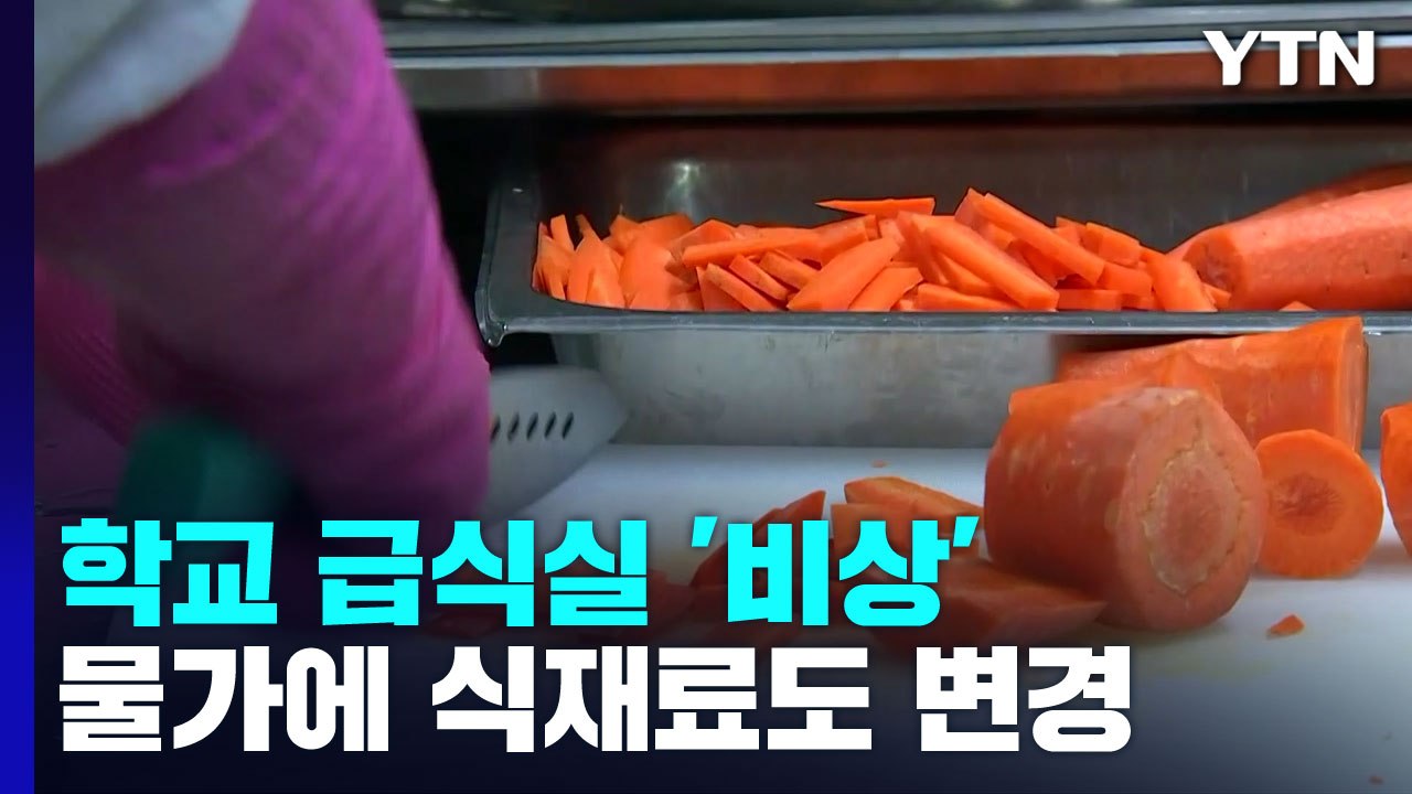 물가 폭등에 학교 급식도 '비상'...식재료 변경 불가피 / YTN