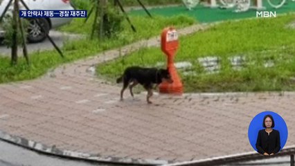 울산 8살 아이 문 개 '안락사' 제동 건 검찰…경찰은 재추진