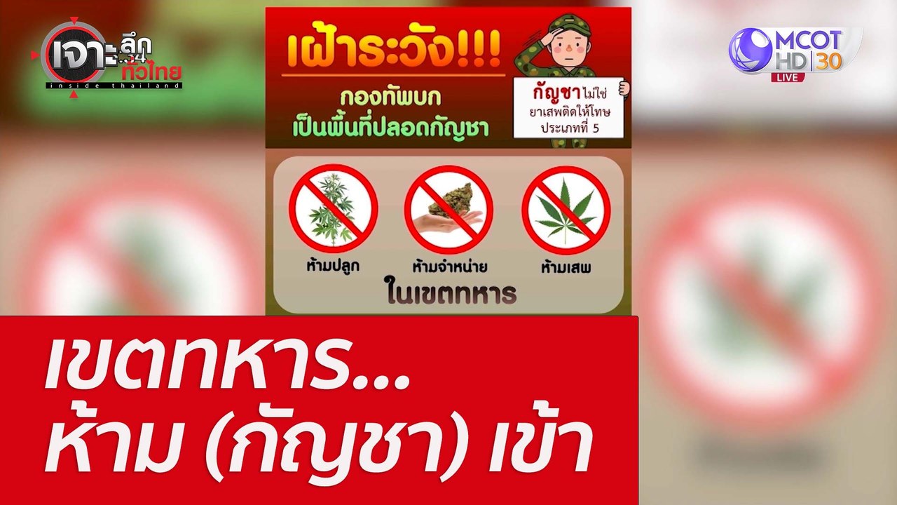 เขตทหาร...ห้าม (กัญชา) เข้า : เจาะลึกทั่วไทย (1...