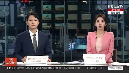 영국 하늘에 태극마크 그린 '블랙이글스'…최우수상