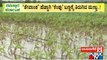 Heavy Rain Damages Crops In Davangere | Public TV