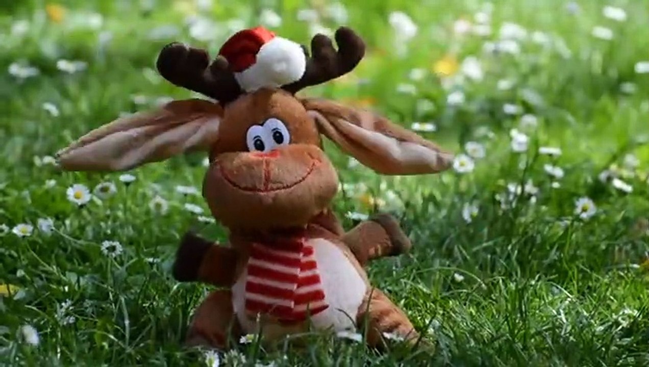 Teddy bear video,Rakib blog....2022