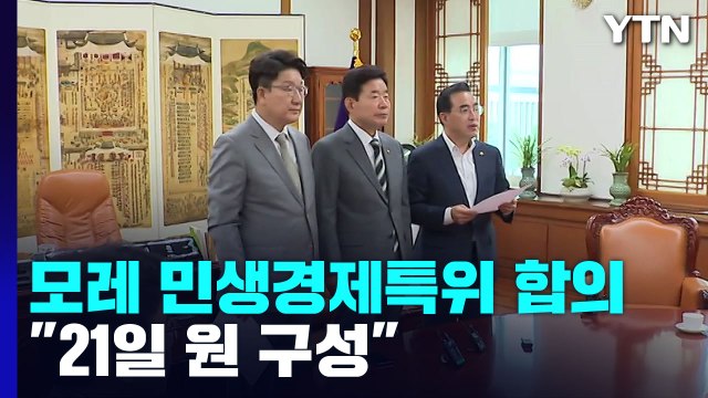 여야 모레 민생경제안정특위 구성...21일까지 원 구성 마무리 / YTN