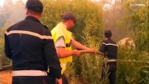 المغرب يواصل جهوده لإخماد حرائق الغابات في شمال البلاد