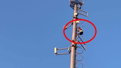 Karısından boşanmak istemeyen adam, 50 metre uzunluğundaki direğe tırmandı