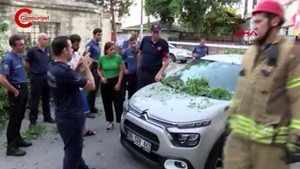 Üsküdar'da ağaç devrildi; otomobil hasar gördü
