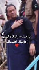 imran khan tiktok poetry video