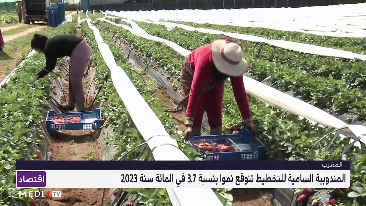 النشرة الاقتصادية - 18/07/2022