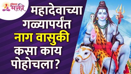 महादेवाच्या गळ्यापर्यंत वासुकी नाग कसा पोहोचला? Story of Vasuki Naag and Shiva | Mahadev | Shankar
