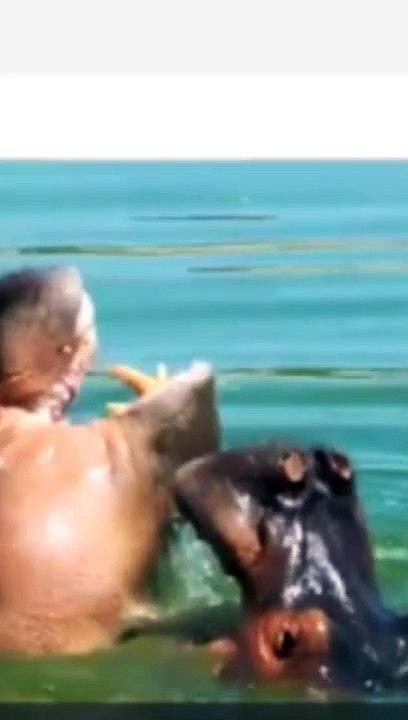 Funny Hippopotamus/Cute Hippopotamus Video #Shorts