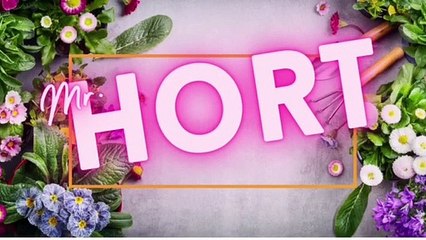 MR.HORT: Bunga tanaman yang wangi di tanam