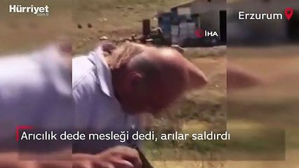 Arıcılık dede mesleği dedi, arılar saldırdı...‘Beni yediler’ diyerek koşarak kaçtı