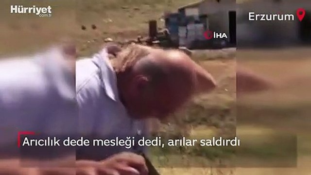 Arıcılık dede mesleği dedi, arılar saldırdı...‘Beni yediler’ diyerek koşarak kaçtı