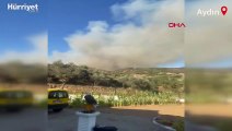 Aydın'daki orman yangınında 30 hektarlık alan zarar gördü