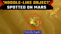 NASA's Perseverance rover spots noodle-like object on Mars | Oneindia news *Space