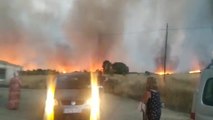 Las llamas avanzan con fuerza en Zamora