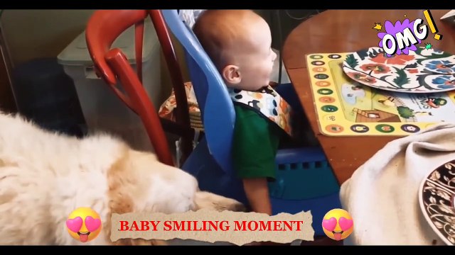 Funny Babies Laughing Hysterically at Dogs (2022), baby laughing,babies laughing #3