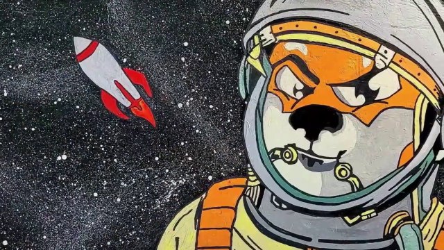 SHIBA INU COIN NEWS TODAY - SHIBA PRICE PREDICTION | SHIBA INU CRYPTO | SHIBA TOKEN