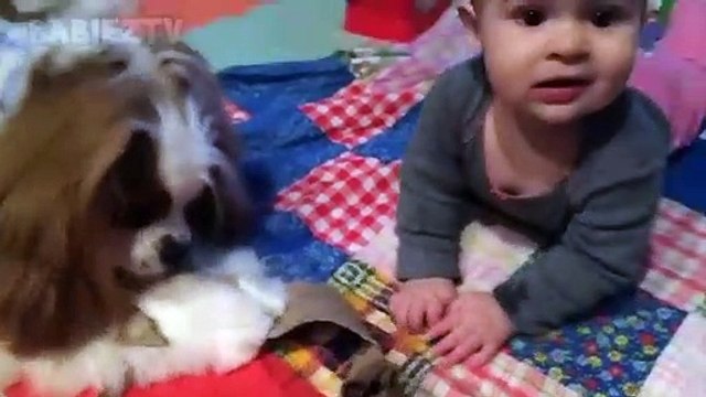 Bébés mignons jouant avec des chiens et des chats