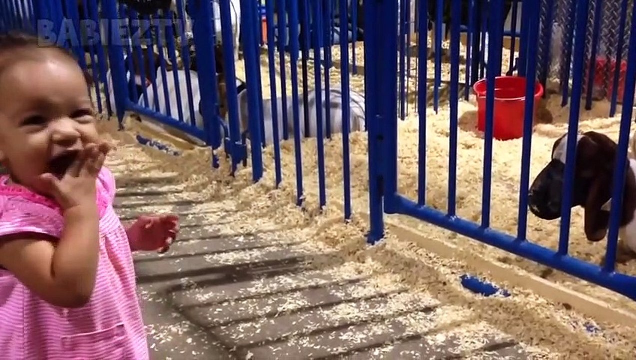 Ces bébés mignons feront fondre votre coeur - bébés drôles riant à la compilation d'ANIMAUX