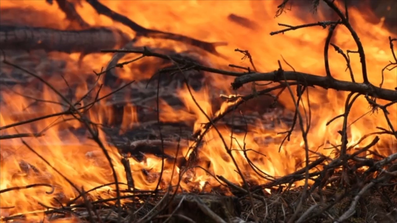 Flammeninferno im Nationalpark Sächsische Schweiz