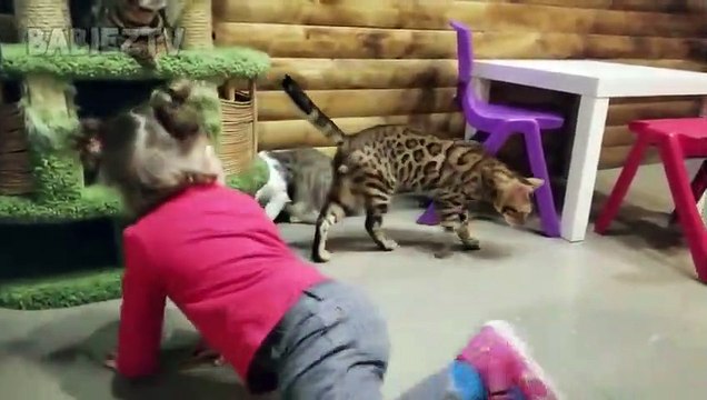 Chats drôles jouant avec Toddler dans Zoo
