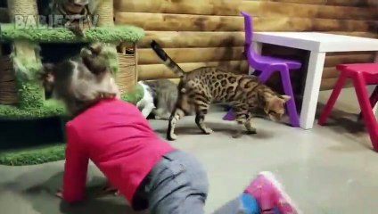 Chats drôles jouant avec Toddler dans Zoo