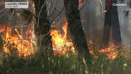 Firefighters battle forest fire in France's southwestern Gironde region