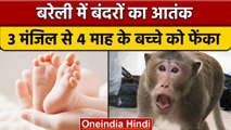 Bareilly में बंदरों का आतंक, 3 मंजिल से 4 माह के बच्चे को फेंका, मासूम की मौत |वनइंडिया हिंदी|*News